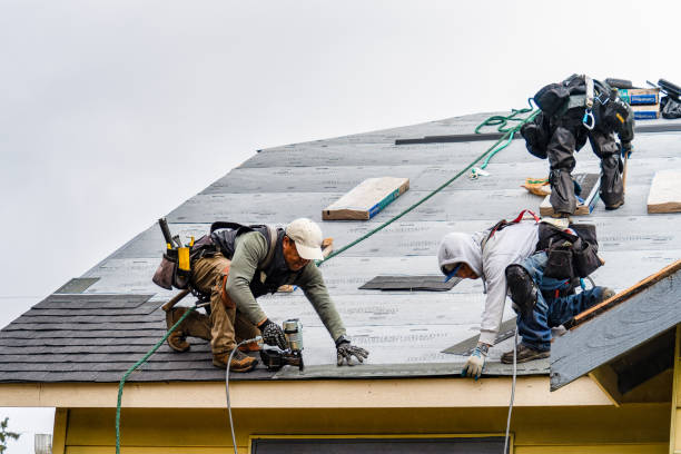 Professional Storm Damage Roof Repair technician working in Liberty, KY